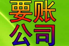 东西湖为什么选择专业追讨公司来处理您的债务纠纷？